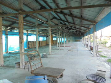 虎科大,78快速道交流道旁畜牧場