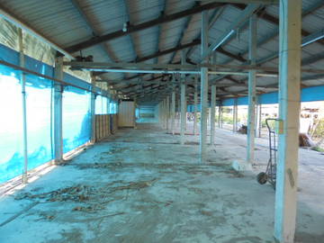 虎科大,78快速道交流道旁畜牧場