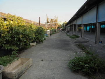 虎科大,78快速道交流道旁畜牧場