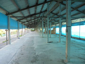 虎科大,78快速道交流道旁畜牧場