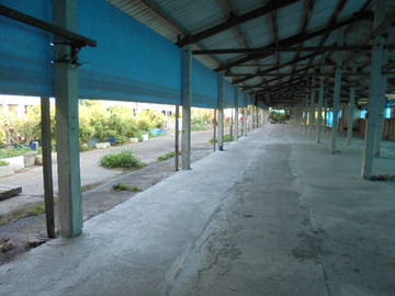 虎科大,78快速道交流道旁畜牧場