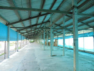 虎科大,78快速道交流道旁畜牧場