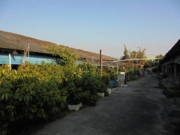 虎科大,78快速道交流道旁畜牧場