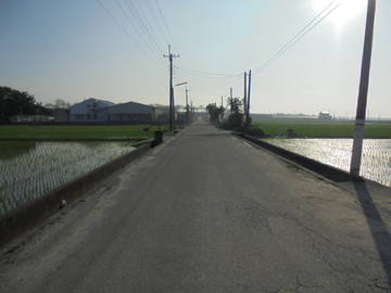 虎科大,78快速道交流道旁畜牧場