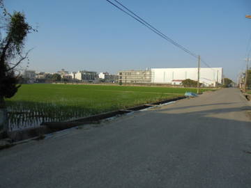 虎科大,78快速道交流道旁畜牧場