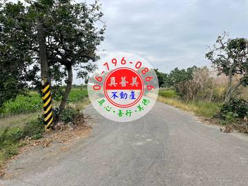 #4702 安定近南科.國八農地