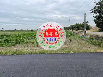#4702 安定近南科.國八農地