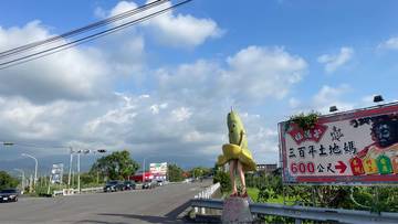 斗六市55米大面寬方正農地