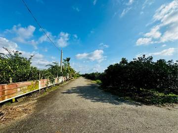 斗六市55米大面寬方正農地