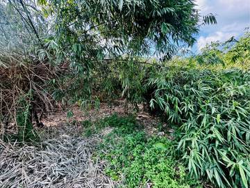 斗六市55米大面寬方正農地