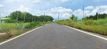 崙背稀有農地2.55甲