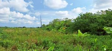 崙背稀有農地2.55甲