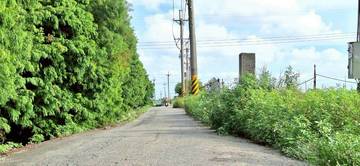 崙背稀有農地2.55甲