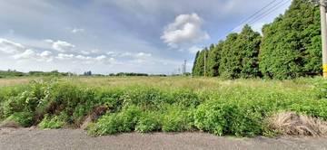 崙背稀有農地2.55甲