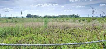 崙背稀有農地2.55甲