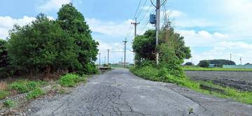 崙背稀有農地2.55甲