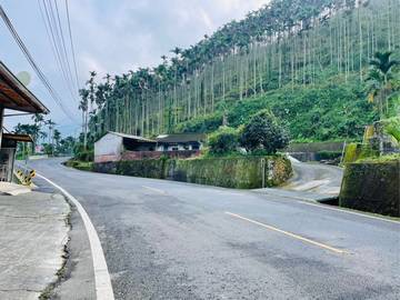 中埔內石子湖15甲農地