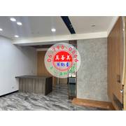 #4641 西港慶安路全新車庫別墅