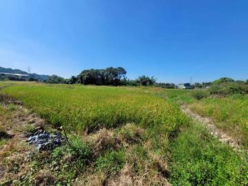 林內鄉台3線旁農地