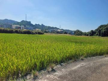 林內鄉台3線旁農地