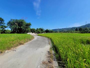 林內鄉台3線旁農地
