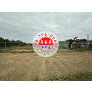 #3824 西港近台19線農地