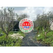 #4526 西港有自來水、農電農地