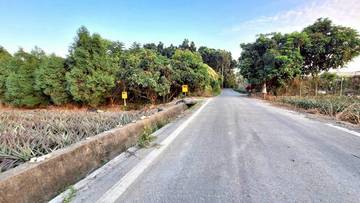 林內・九芎果園農地 2.2分