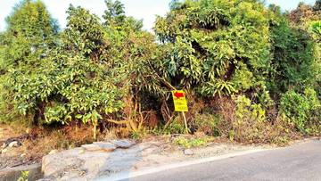 林內・九芎果園農地 2.2分