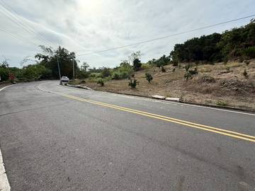 (劍湖山)大湖口農地