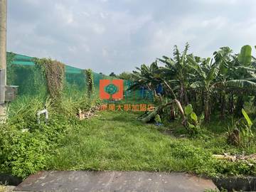 【售】斗六古坑綠色隧道農地 