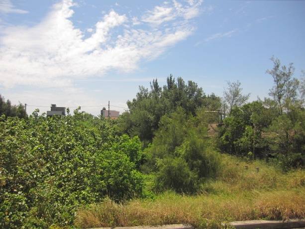 苗栗县后龙镇海景乐活田