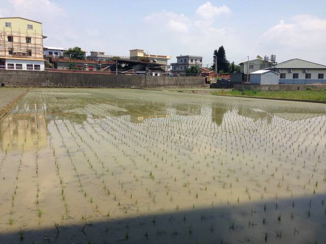 苗栗县后龙镇新港配盖田