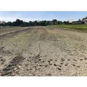 #3753 安南重劃區大坪數建地