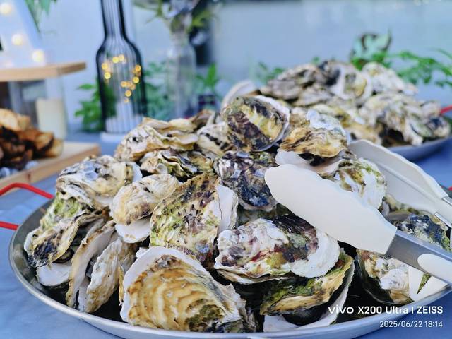 1379637_b004a2b673304c1ca55ba1c11249684e